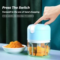 100ml Electric Meat Grinder Stainless Steel Blade Chili Vegetable Crusher Mini Portable Rechargeable Durable Kitchen Accessories