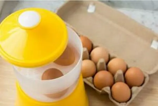 Telur separuh masak