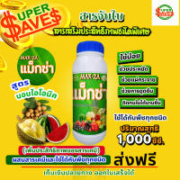 แม็กซ่า Maxza สารจับใบ สารเร่งดูดซึม สารเสริมประสิทธิภาพชนิดพิเศษ ขนาด 1,000 ซี.ซี.