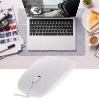 【CW】 2022 USB Wired Optical Mouse Scrub Cute Small Mouse For Apple Desktop Notebook