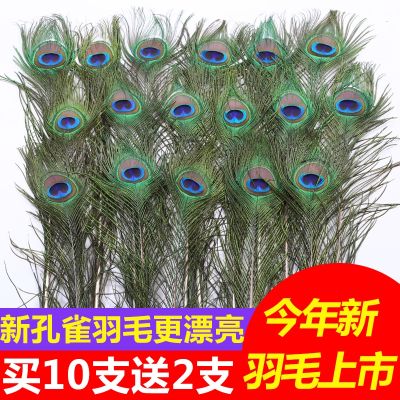 ▩❄✕ Purely natural real peacock feathers tail big eyes home furnishings living room wedding vase decorations