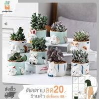 Plant pot กระถางต้นไม้ กระถางเซรามิค  ขนาด 8X8X6CM  สินค้าพร้อมส่งจากไทย By Plantpot.store