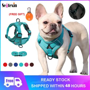 Dog Harness Pet Supplies Dog Cat Chest Harness Small and Medium