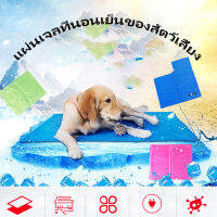 Pet Cool mat ที่นอนเจลเย็น สำหรับตว์เลี้ยง  ที่นอน เบาะนอนเย็น