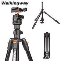 Walkingway ขาตั้งน้ำหนักเบาพกพาทำจากอะลูมิเนียมขาตั้งกล้องขนาด62.99นิ้วพร้อมหัวบอลสำหรับขาตั้งกล้องโปรเจ็คเตอร์