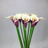 OrientalFineArt  Artificial Cala Lily ดอกคาล่าลิลลี่ ดอกไม้ประดิษฐ์เกรดพรีเมียม งานพียูสวยเหมือนของจริง