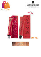 (กล่องแดงเฉพาะสี) โทนประกายทองSchwarzkopf Professional IGORA ROYAL Gold ชวาร์สคอฟ อีโกร่า รอเเยล