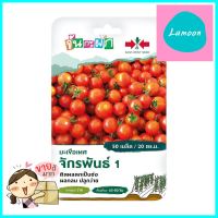 เมล็ดพันธุ์ มะเขือเทศผลกลม จักรพันธ์ 1 ศรแดง 50 เมล็ดTOMATO SEEDS SORNDAENG 50 SEEDS **สินค้าแนะนำ**