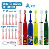 ✙☃ Children Sonic Electric Toothbrush Cartoon Kids With 12pcs Replacement Brush Head Soft Fur Automatic Waterproof Cleaning Brush