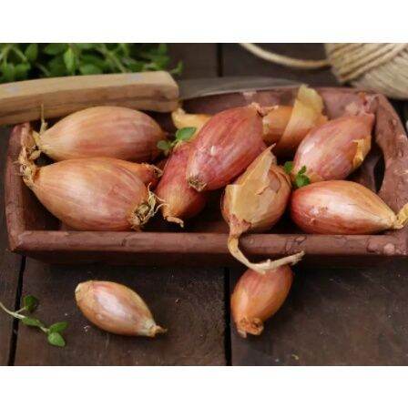 honey-pickled-shallots-480g