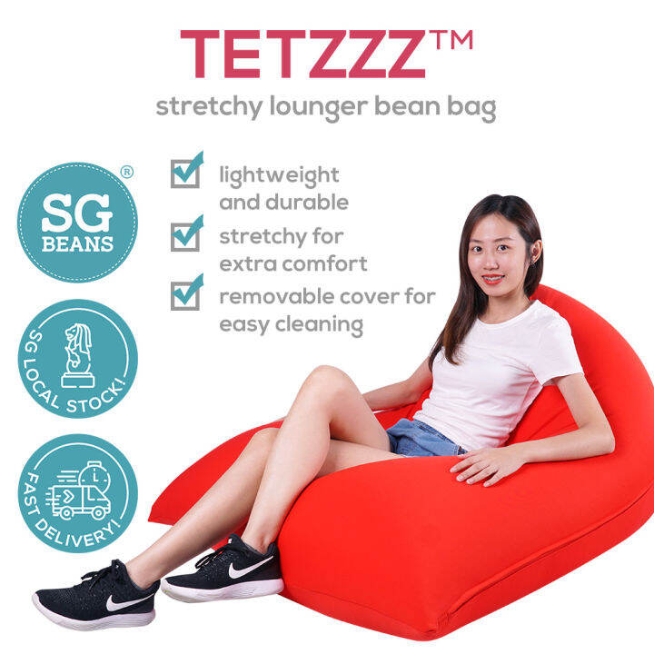 Tetzzz Spandex Lounger Bean Bag Stretchy Bean Bag Chair Soft