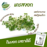 เมล็ด เครสงอก จำนวน 800 เมล็ด ต้นอ่อนไมโครกรีน (Microgreens) กินงอก รสชชาติดี