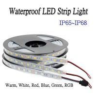 SMD 5050 12V Waterproof LED Strip Light Warm White Blue Green Red RGB Flexible Lamp Ribbon IP65 IP67 IP68 Outdoor Lighting Tape