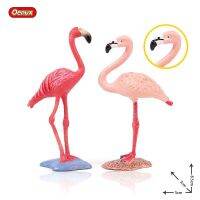 Oenux Wild Pink Flamingos FMG สัตว์ PVC ตัวเลขการกระทำ Phoenicopterus ขนนกสีชมพูของเล่นสำหรับของขวัญวันเกิดเด็ก