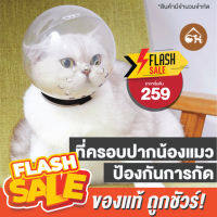 ?ถูกสุด! พร้อมส่ง? ที่ครอบปากน้องแมว ป้องกันการกัด ระบายอากาศได้ดี