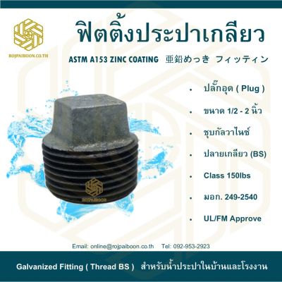 ปลั๊กอุดประปา 3/4" ( PLUG )