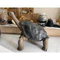 11 Lonesome George งานเรซิ่น ต้องรับที่ร้าน