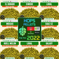 [Crop Year2022] Hops Pellets 1oz ฮอปส์ เพลลิท Hops ทำเบียร์​ IPA Amarillo / Cascade / Chinook / Citra / Mosaic [ Yakima Chief / Barth HaasHop Homebrew ]