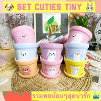 กระถางเซรามิค Set Cuties Tiny กระถางต้นไม้ พร้อมจานรอง กระถางแคคตัส 3.2 นิ้ว ลายขายดี เนื้อดีแข็งแรง ระบายน้ำได้ดี เกรดคุณภาพ