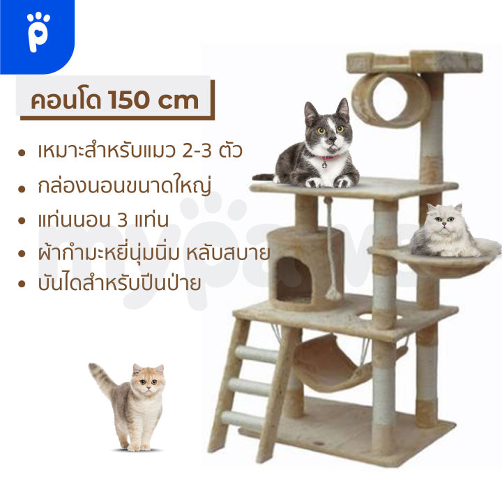 my-paws-คอนโดแมว-6-ชั้น-สูง-186-cm-a-สุดคุ้ม-กำมะหยี่นุ่มๆทั้งหลัง-พร้อมเปล-บ้าน-บันได