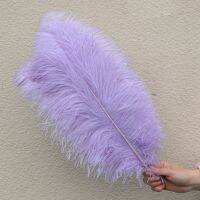 10 Pcs Feather Wedding Table Centerpiece Decoration Multicolor Costume Show Accessory 15-35