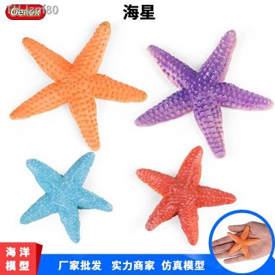 🎁 ของขวัญ Childrens educational simulation model of Marine animal starfish echinoderms cognitive toys decorative furnishing articles