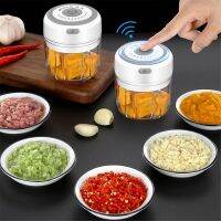 【CW】 100/250mL Electric Garlic Press Mincer Vegetable Meat Grinder Sturdy Durable USB Charging