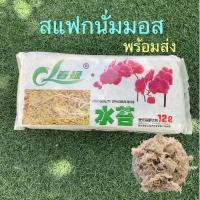 สแฟกนั่มมอส Sphagnum Moss 12 ลิตร พร้อมส่ง⚡️