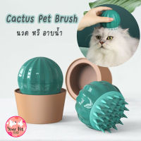 แปรงนวดแมวลายแคตตัส หวีแปรงขน แปรงอาบน้ำ แปรงซิลิโคน แปรงขนแมว Cactus Pet Brush