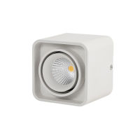 Square Surface Mounted COB Downlights 10W 15W 20W 30W LED Ceiling Lamp Spot Lights AC85 - 265V indoor lighting