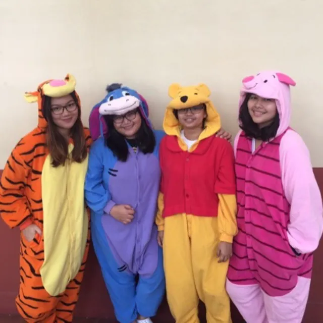 Pooh, Tigger, Eeyore Piglet Onesie Kigurumi Costume Pajama Premium ...