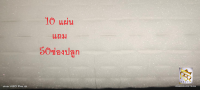 ฟองน้ำปลูกผักไฮโดร 10แผ่น  แถม ฟองน้ำ 50 ช่องปลูก