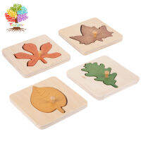 Treeyear Leaf จิ๊กซอว์ไม้ปริศนาการศึกษาการเรียนรู้ Stem ของเล่นรูปร่างที่มีสีสัน Montessori Toys