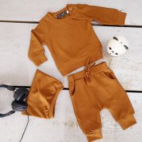 2021 Autumn Spring Newborn Baby Girls Boys Clothes Sets Solid Cotton Casual Long Sleeve Pullover Sweatshirt Tops Pants Outfits