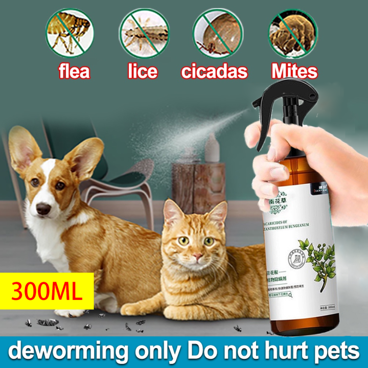 300ML Flea and Tick Spray for Dog Garapata Killer Spray Dog pet can