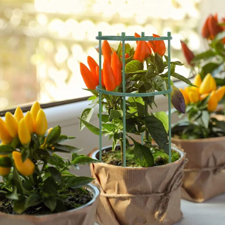 1-2-4-6-8-16ชิ้นพลาสติกรองรับกองสนับสนุนพืชกองสำหรับการจัดดอกไม้เรือนกระจกแก้ไขอุปกรณ์ทำสวนที่ยึดคันเบ็ด