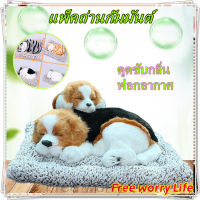 [ส่งจากไทย]Free worry Life??ตุ๊กตาหมา ?ตุ๊กตาแมว ?ตุ๊กตาหมีแพนด้า ตุ๊กตา?จิ้งจอก ตุ๊กตาดูดกลิ่น ตุ๊กตาดับกลิ่น น่ารักฝุดๆๆๆๆ  deodorant doll