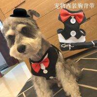 ✧▼♞ Leash ชุดราตรีชุดสายรัดสัตว์เลี้ยงสุนัขแมวอุปกรณ์ Teddy Bichon Dog Leash Vest Aliexpress