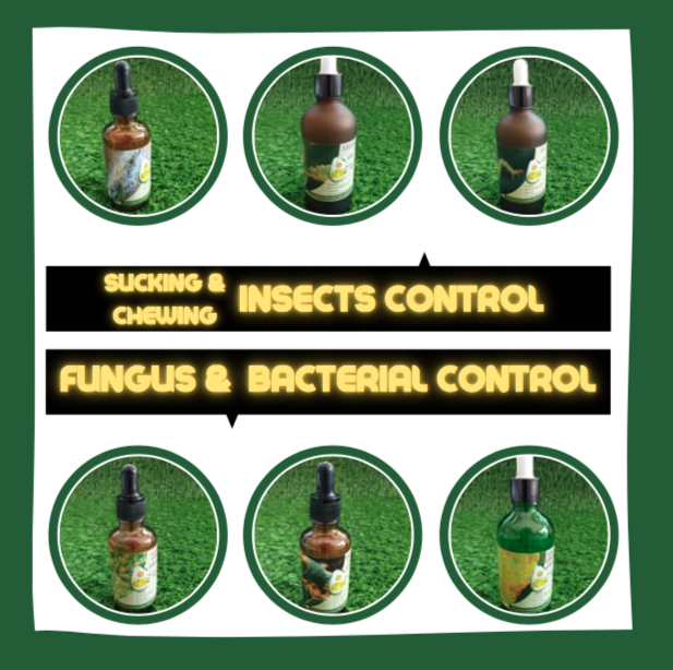 Caterpillar Borer Control Organic Insect Repellent Ubat Serangga