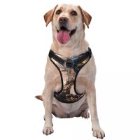 Dog Harness Pet Dog Chest Harness Vest Puppy Harness Outdoor Sports Pet Harness Traction Rope Suitable for Small and Medium Dogs