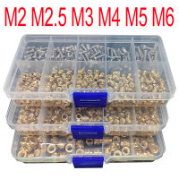 ss Insert Nut and Screw Set M2 M2.5 M3 M4 M5 M6 Hot Knurled Heat Thread Copper Nuts 304 Stainless Steel Bolt Assortment Kit