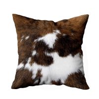 【CW】▽  Pillowcases Spots Room Throw Cover for Bed Couch Sofa 18x18 Inch