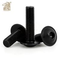 1-20PCS M4 M5 M6 M8 M10 M12 Bolt Socket Flange Button Head Screws 10.9 High Tensile Black Allen Bolts GB7380.2 L=6-40mm Nails Screws Fasteners