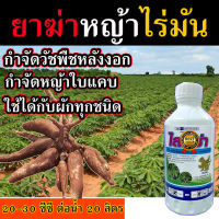 ?ของแท้ ส่งในไทย? ?ฉีดทับต้น มันสำปะหลัง ได้?ฆ่าหญ้าไร่มัน กำจัดหญ้าไร่มัน 500 cc. กำจัดหญ้ามันสำปะหลัง กำจัดหญ้าใบแคบ ใบแหลม ฉี