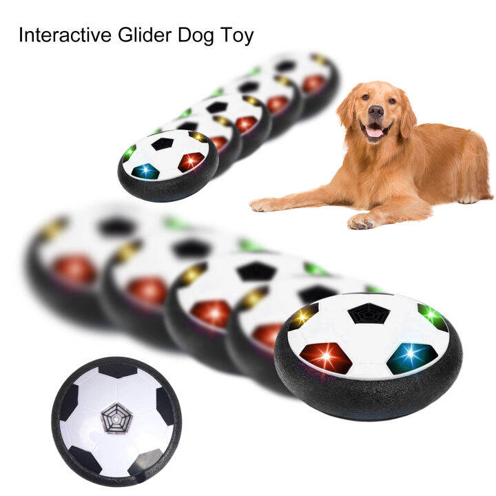 Gliding Disc for Dogs Preventing Destructive Behavior in Dogs