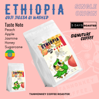 Tanmonkey Coffee เมล็ดกาแฟคั่ว Ethiopia Guji Jigesa G1 Washed
