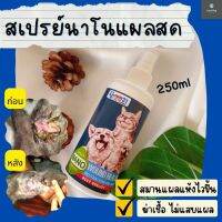 สเปรย์นาโนฉีดตัว 250 ml (หมา-แมว) สำหรับสัตว์เลี้ยงทุกประเภท ต้องมีติดบ้านไว้