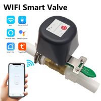 Tuya WiFi Smart Water Gas Valve Bluetooth Shut Off Controller Support Alexa Google Assistant Smartlife APP