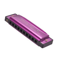 Key of C Diatonic Harmonica Mouthorgan with ABS Reeds Mirror Surface Design 10 Holes Blues Harmonica Perfect for Beginners Professional Students Kid Purple