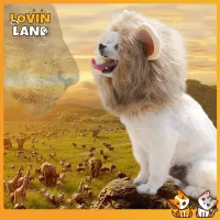 Lovinland Lion Wig Costume Cats Accessories Cute Funny Small and Medium Sized Pet Dog Cat Accessories Lion Mane for Cat Pet Decor